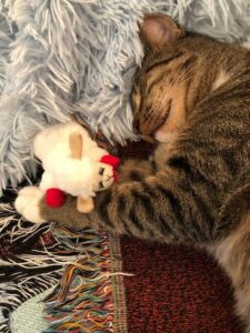 Charlie snuggling with toy.