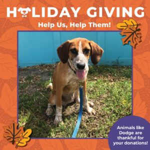 Holiday GIving Image