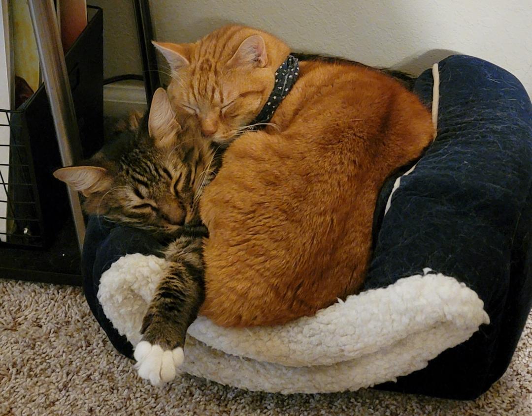 Micah snuggling with Eugene