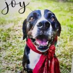 "Joy" with Kelly wearing a scarf picture