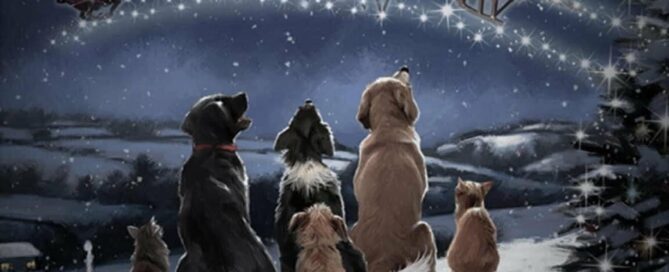 Dogs andcadts looking into the sky as Santa and his reindeers flly by.