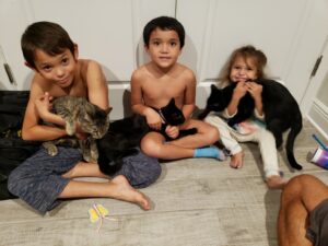Berlioz, Marie & Toulouse sitting with their 3 human siblings.