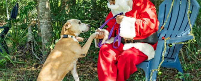 Brooke giving Santa paw.