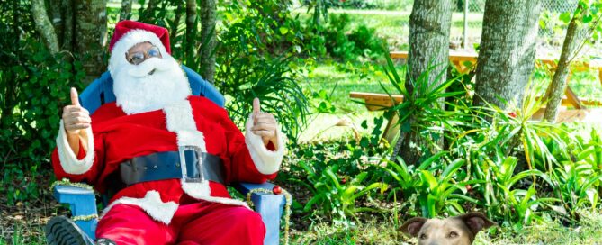 Dawn laying on the ground beside Santa in his chair.