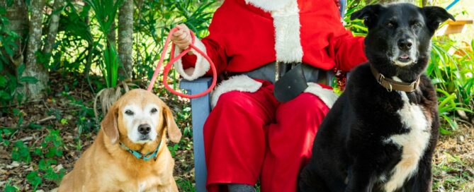 Ginger and Taylor sitting beside Santa