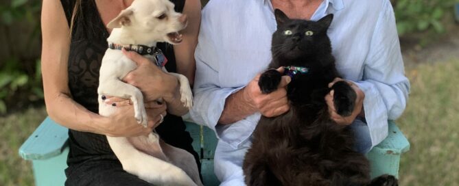 Gravy Face sit on the lap of her new adoptive parents along with her canine brother.