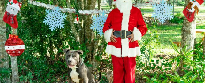 Handsome sitting beside Santa