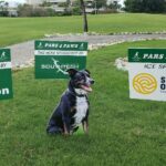 Hole 3 sponsor signs - Anne Middleton, Sun Outdoors and South Tech with Huckleberry.