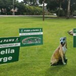 Hole 6 sponsor signs Amelia Borge, Rudolph Abel and Ravin Consultants with Brooke