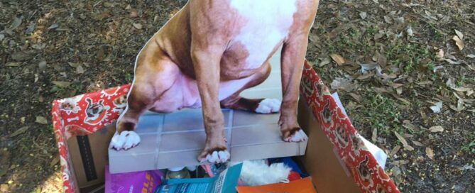 Holiday Donation Box full of donations with a dog cut out beside.