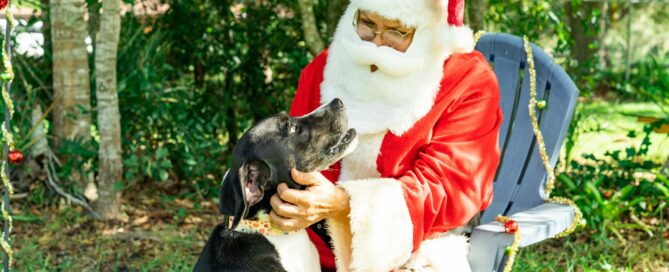 Kelly staring up at Santa