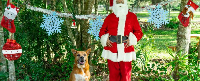 Mickey sitting beside a standing Santa.