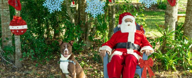 Tucker sitting beside Santa.