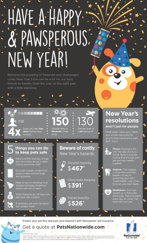 New Years Eve safety tips poster
