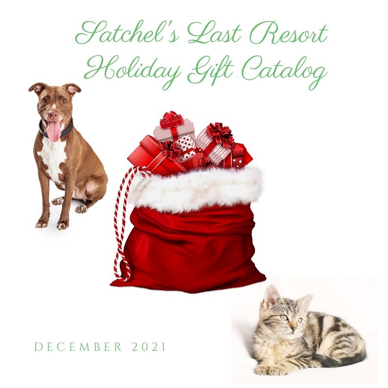 Front of a dog, cat and Christmas bag of gifts. Front of the catalog