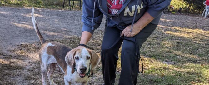 Spook standing beside his new mom.