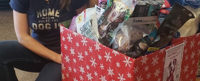 Holiday box full of donations with a staff member posing beside.