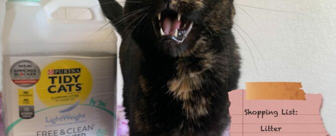 Hazel standing beside a box of cat litter