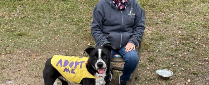 Cooper with his adopt be vest on, standing beside his Woof Pack leader, Kathy.