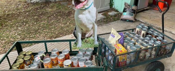 Harley cutout with 2 cart loads of donations.