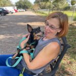 Figgy sitting on the lap of his foster mom.