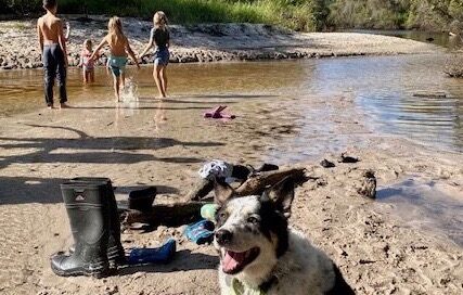 Hiccup camping. Sitting on the beach with kids paddling in the water.