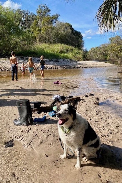 Hiccup camping. Sitting on the beach with kids paddling in the water.