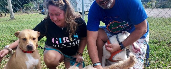 Honey Bear posing at Satchel's with her new mom and dad and 2 canine siblings.