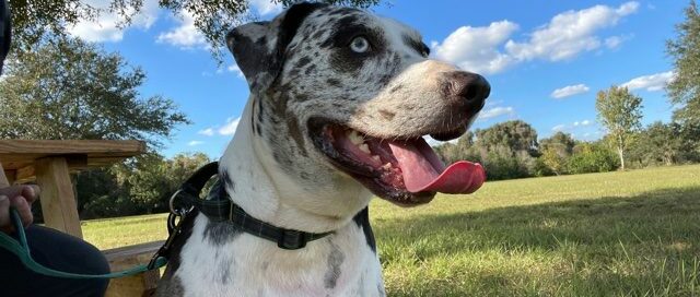 Ragnar happy smiing with the beautiful skyline behind hi