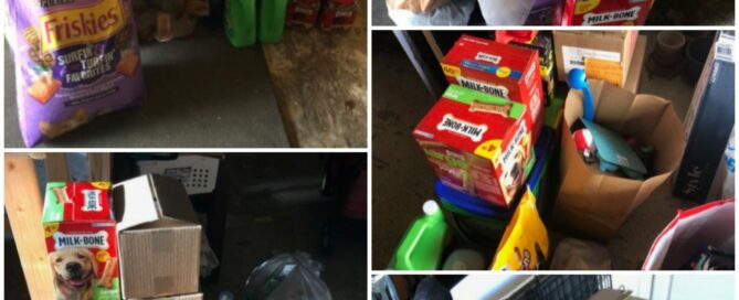 Collage of 5 pictures showing donations.