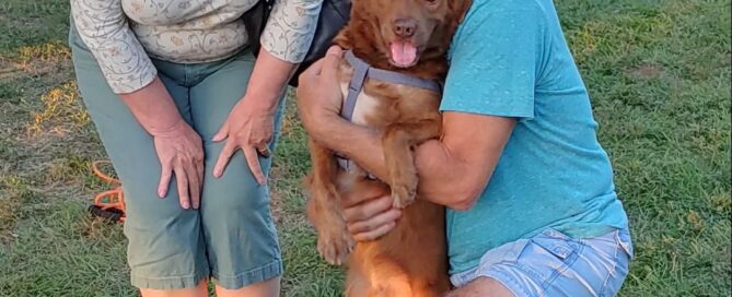 Winston posting for his adoption picture with his new mom and dad. Looking straight at the camera.