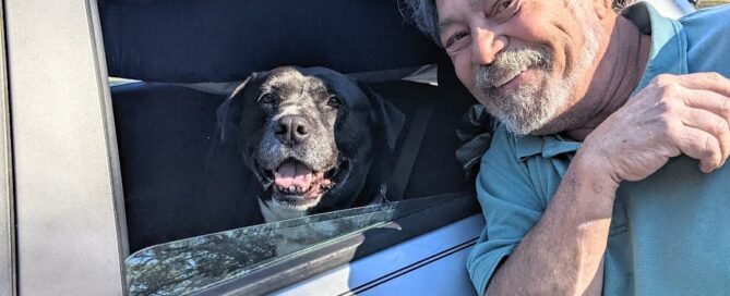 Bonny sitting in the back seat of her adopter's car with Mark (adopter) leaning up against the window.