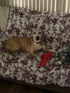 Brrooke laying on the couch posing for her picture.