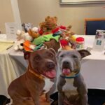 The donated toys on the table at the luncheon with Howard and Dawn cutouts standing in front.