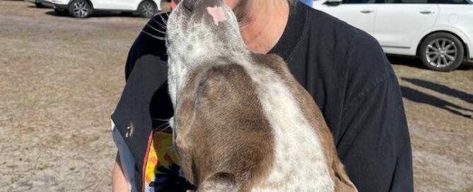 Roscoe giving a fan a kiss at the market.