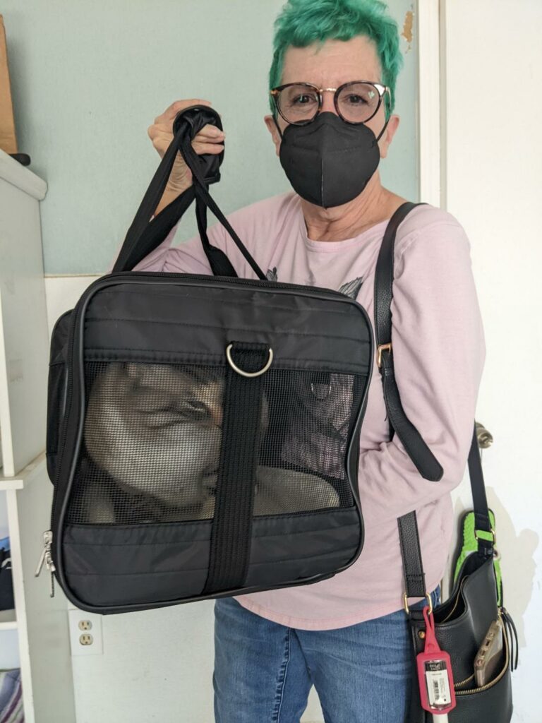 Rosie in a carrier being held by her adopter.