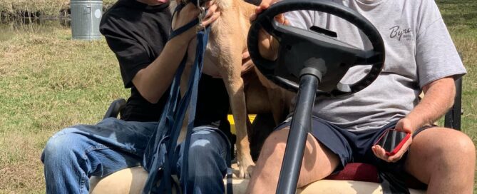 Bernie in the golf cart with Larry and Kris.