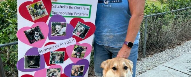 Chris and Anne (holding a board of Satchel's dogs pics) withthe donation.