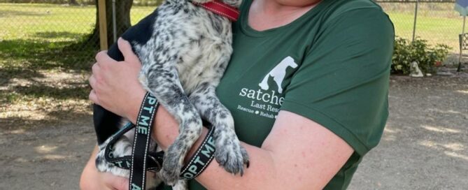 Dash in the arms of his new mom.