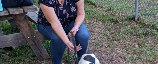 Duke's adoption picture in the yard at Satchel's with his new mom.