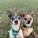 Frazier and Niles looking at the camera.