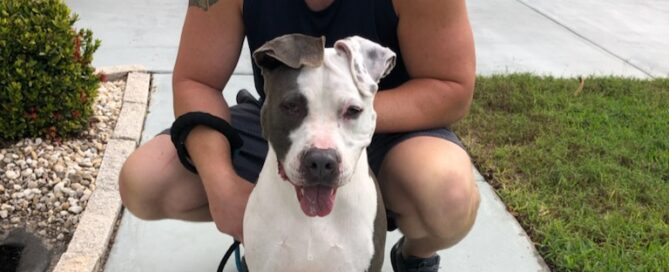 Harley sitting nicely posing with his new dad.