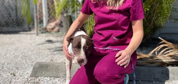 Harvey leaving with his new foster mom, Kasey.