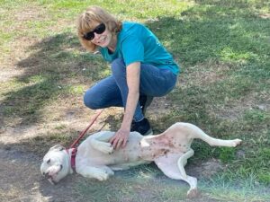 Millie laying down for a belly rub by her Woof Pack leader Judy.