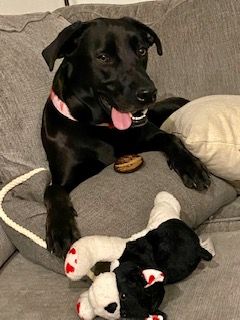 Nela on her bed with her toys.