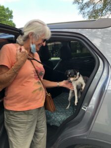 Papi sitting in the back of the vehicle with his adopter petting him from outside the car.