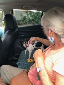 Papi sitting on the backseat of the vehicle with his adopter sitting beside him petting him.