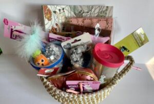 Picture of items including in Raffle basket#32