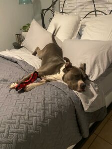 Riley laid on the bed.