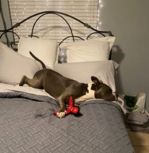 Riley laid on the bed with her toy.